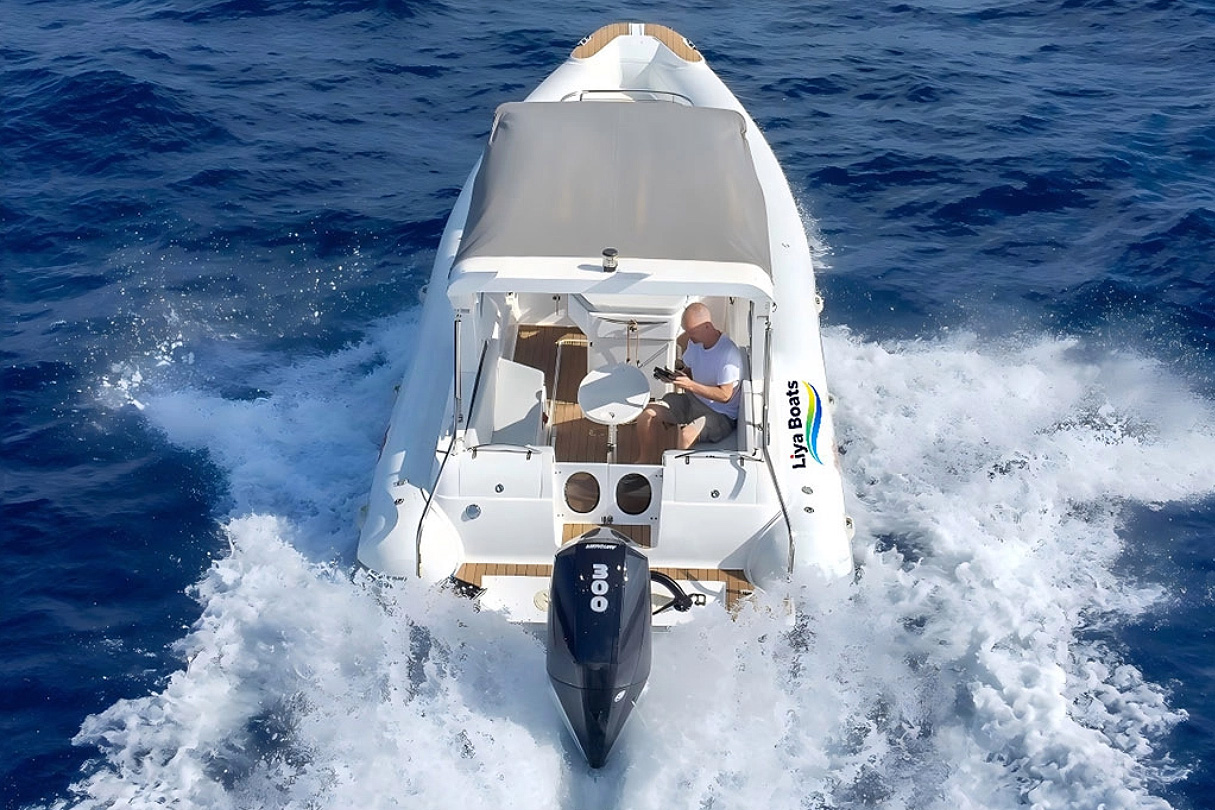 Liya 27 FT Luxury Cabin RIB Boat for Sale|8m CE RIB for 12 Persons|Twin Engine