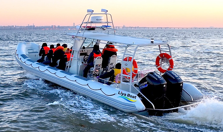 Liya 29-34FT Aluminum Patrol RIB Boat High-Speed,14 Person,CE B&C Certified