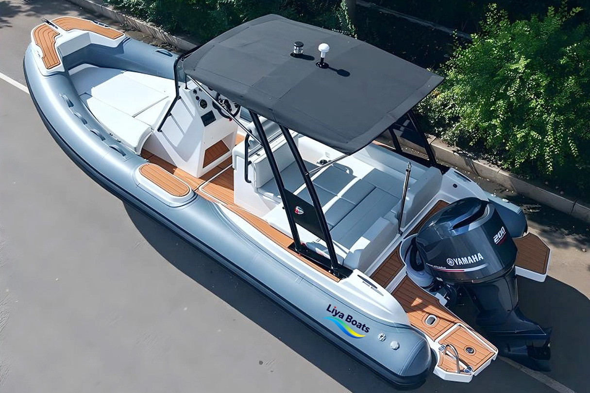 Liya Luxury 6.6 Meter 22Foot New Sport RlB Boat